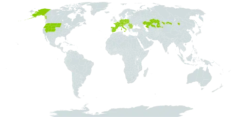 Astragalus australis world distribution map, present in Andorra, Austria, Bulgaria, Switzerland, Czech Republic, Germany, Spain, France, Italy, Kazakhstan, Liechtenstein, North Macedonia, Montenegro, Mongolia, Poland, Romania, Slovakia, Slovenia, Ukraine, and United States of America