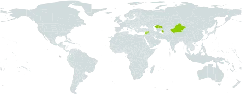 Astragalus campylorrhynchus world distribution map, present in Azerbaijan, China, Kazakhstan, Lebanon, Syrian Arab Republic, Turkmenistan, and Uzbekistan
