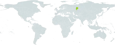 Astragalus clerceanus world distribution map, present in Russian Federation