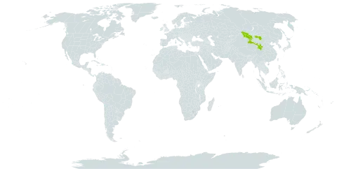Astragalus grubovii world distribution map, present in China and Mongolia