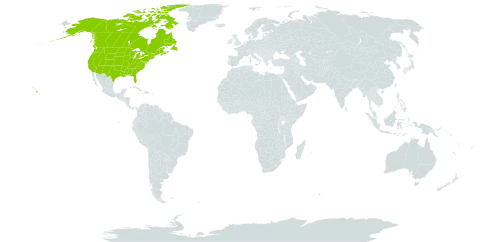 Astragalus iochrous world distribution map, present in Canada and United States of America
