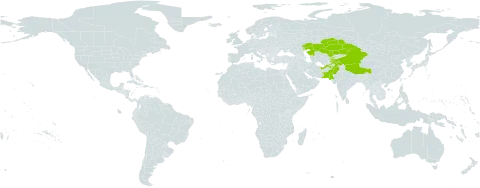 Astragalus lasiosemius world distribution map, present in Afghanistan, China, Kazakhstan, Kyrgyzstan, Pakistan, Tajikistan, and Uzbekistan