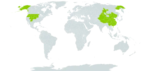 Astragalus laxmannii world distribution map, present in China, Mongolia, Russian Federation, and United States of America