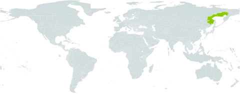 Astragalus ochotensis world distribution map, present in Russian Federation