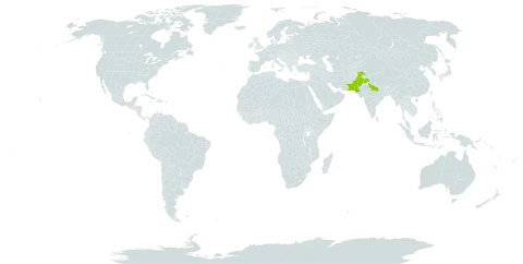 Astragalus polyacanthus world distribution map, present in India, Nepal, and Pakistan