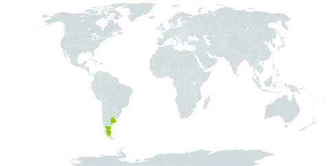 Astragalus sanctae-crucis world distribution map, present in Argentina and Uruguay