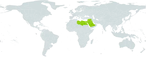 Astragalus spinosus world distribution map, present in Egypt, Iraq, Israel, Jordan, Kuwait, Lebanon, Libya, Saudi Arabia, and Syrian Arab Republic
