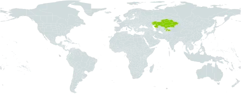 Astragalus stenanthus world distribution map, present in Kazakhstan, Kyrgyzstan, Tajikistan, and Uzbekistan