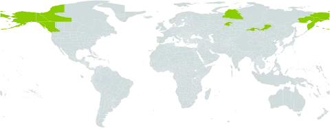 Astragalus umbellatus world distribution map, present in Canada, Russian Federation, and United States of America