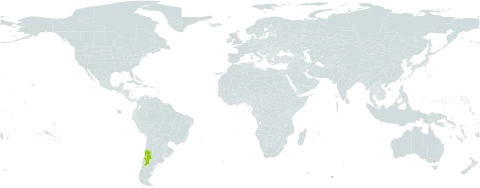 Astragalus vesiculosus world distribution map, present in Argentina and Chile
