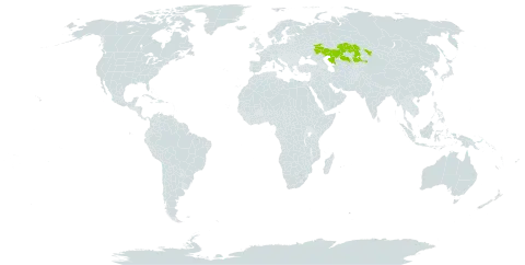 Astragalus zingeri world distribution map, present in Kazakhstan and Russian Federation