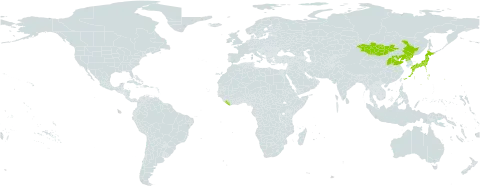 Athyrium monomachi world distribution map, present in China, Japan, Liberia, Mongolia, and Korea (Democratic People's Republic of)