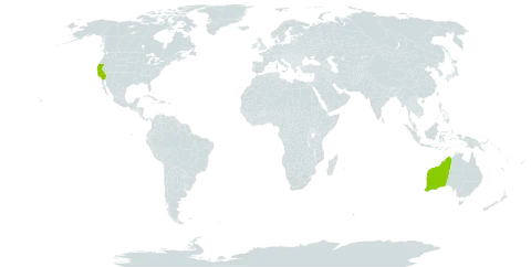 Atriplex amnicola world distribution map, present in Australia and United States of America