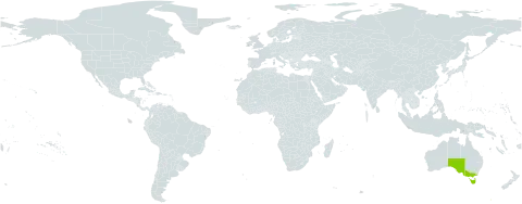 Atriplex paludosa world distribution map, present in Australia