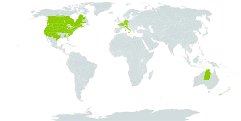 Atriplex prostrata world distribution map, present in Australia, Canada, Germany, France, Italy, New Zealand, and United States of America