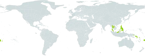 Atuna racemosa world distribution map, present in Brunei Darussalam, Fiji, Indonesia, Iceland, Malaysia, Philippines, Papua New Guinea, Singapore, Solomon Islands, Thailand, Tonga, United States of America, and Samoa