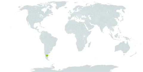 Austrocedrus chilensis world distribution map, present in Argentina