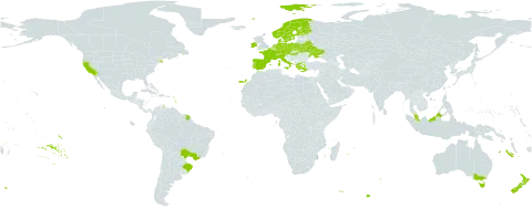 Avena strigosa world distribution map, present in Australia, Austria, Belarus, Brazil, Switzerland, Czech Republic, Germany, Denmark, Spain, Finland, France, Greece, Hungary, Ireland, Italy, Malaysia, Netherlands, Norway, New Zealand, Poland, Portugal, Sweden, Ukraine, and United States of America