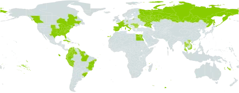 Azolla caroliniana world distribution map, present in Belgium, Bulgaria, Brazil, Canada, Colombia, Cuba, Germany, Ecuador, Egypt, Spain, France, French Guiana, Guyana, Hungary, Italy, Jamaica, Netherlands, Peru, Puerto Rico, Portugal, Romania, Russian Federation, Suriname, Thailand, United States of America, Venezuela (Bolivarian Republic of), and Viet Nam