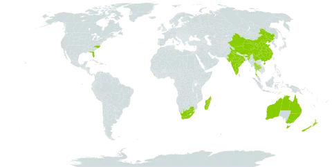 Azolla pinnata world distribution map, present in Australia, China, India, Sri Lanka, Madagascar, New Zealand, Thailand, United States of America, and South Africa