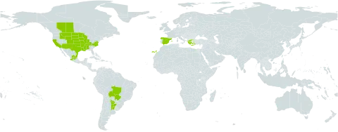 Bacopa rotundifolia world distribution map, present in Argentina, Bolivia (Plurinational State of), Brazil, Canada, Spain, Greece, Mexico, Paraguay, and United States of America