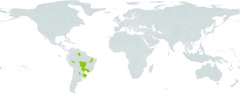 Bacopa scabra world distribution map, present in Argentina, Brazil, and Paraguay