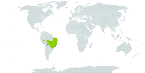Banisteriopsis malifolia world distribution map, present in Bolivia (Plurinational State of) and Brazil