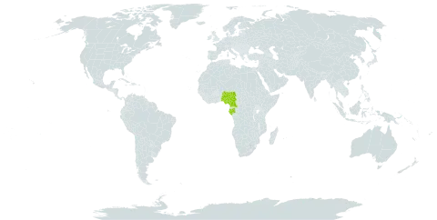 Baphia leptostemma world distribution map, present in Cameroon, Gabon, and Nigeria