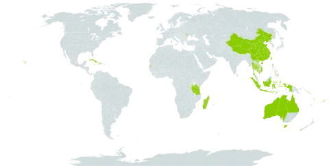 Barringtonia asiatica world distribution map, present in Andorra, Australia, Bonaire, Sint Eustatius and Saba, China, Cook Islands, Comoros, Cuba, Cayman Islands, Dominica, Fiji, Haiti, Indonesia, India, Cambodia, Sri Lanka, Moldova (Republic of), Madagascar, Maldives, Mauritius, Nauru, Philippines, Puerto Rico, Réunion, Saint Helena, Ascension and Tristan da Cunha, Solomon Islands, Seychelles, Thailand, Tonga, Tuvalu, Taiwan, Province of China, Tanzania, United Republic of, United States of America, Viet Nam, Vanuatu, Wallis and Futuna, and Samoa