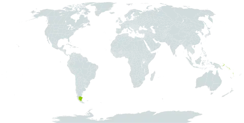 Barringtonia novae-hiberniae subsp. novae-hiberniae world distribution map, present in Argentina, Papua New Guinea, Solomon Islands, and Vanuatu
