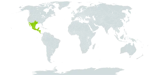 Bauhinia divaricata world distribution map, present in Belize, Costa Rica, Guatemala, Honduras, Mexico, Mauritius, Nicaragua, El Salvador, and United States of America
