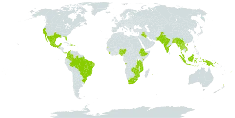 Bauhinia variegata world distribution map, present in Angola, Bonaire, Sint Eustatius and Saba, Bangladesh, Bahamas, Brazil, Bhutan, China, Colombia, Dominican Republic, Ethiopia, Fiji, Ghana, Grenada, Hong Kong, Haiti, Indonesia, India, Iraq, Kenya, Lao People's Democratic Republic, Saint Lucia, Sri Lanka, Mexico, Myanmar, Mozambique, Mauritius, Malawi, Malaysia, Nigeria, Nepal, New Zealand, Pakistan, Panama, Papua New Guinea, Puerto Rico, Réunion, Singapore, Sierra Leone, El Salvador, Seychelles, Thailand, Tonga, Tanzania, United Republic of, Uganda, United States of America, Viet Nam, South Africa, Zambia, and Zimbabwe