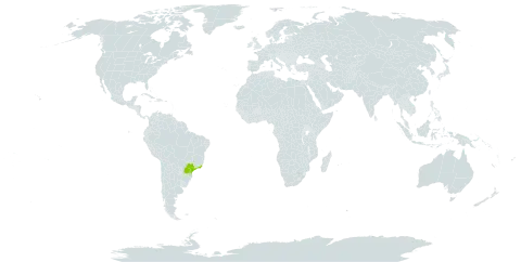 Begonia lanceolata world distribution map, present in Brazil