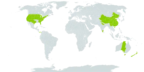 Berberis world distribution map, present in Australia, China, India, Nepal, New Zealand, Pakistan, Panama, and United States of America