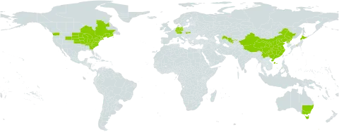 Berberis thunbergii world distribution map, present in Australia, Canada, China, Germany, Japan, Korea (Democratic People's Republic of), Slovakia, United States of America, and Uzbekistan