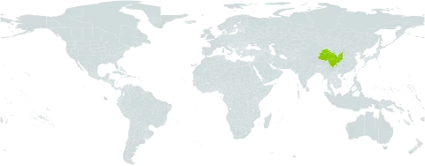 Berberis vernae world distribution map, present in China
