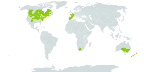Berberis vulgaris world distribution map, present in Armenia, Australia, Canada, Spain, France, United Kingdom of Great Britain and Northern Ireland, New Zealand, United States of America, and South Africa