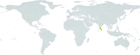 Berberis wightiana world distribution map, present in India and Sri Lanka