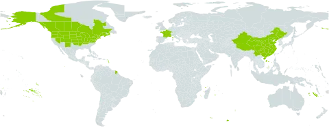 Berteroa incana world distribution map, present in Canada, China, France, and United States of America