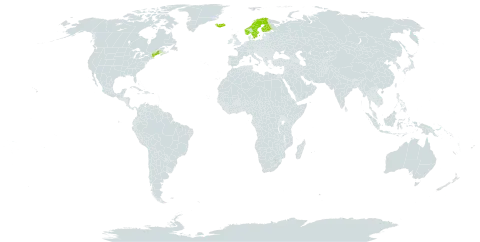 Betula pubescens var. pumila world distribution map, present in Finland, Iceland, Norway, Sweden, and United States of America