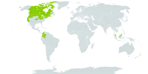 Betula pumila world distribution map, present in Canada, Colombia, France, Micronesia (Federated States of), Malaysia, and United States of America