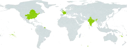 Bidens aristosa world distribution map, present in Canada, France, United Kingdom of Great Britain and Northern Ireland, India, and United States of America