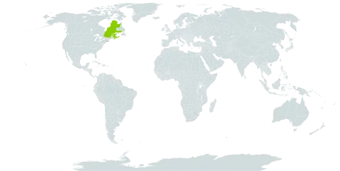 Bidens heterodoxa world distribution map, present in Canada and United States of America