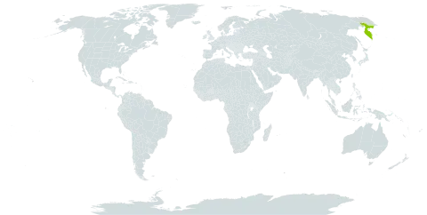 Bidens kamtschatica world distribution map, present in Russian Federation