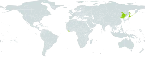 Bidens maximowicziana world distribution map, present in China, Japan, Liberia, Korea (Democratic People's Republic of), and Russian Federation