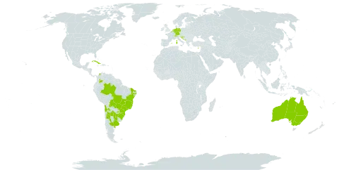 Bidens subalternans world distribution map, present in Argentina, Australia, Belgium, Bosnia and Herzegovina, Bolivia (Plurinational State of), Brazil, Switzerland, Chile, Colombia, Cuba, Cyprus, Germany, Spain, France, United Kingdom of Great Britain and Northern Ireland, Croatia, Italy, North Macedonia, Montenegro, Netherlands, Paraguay, Slovenia, and Uruguay