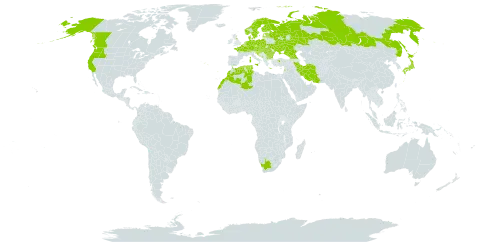 Blechnum spicant world distribution map, present in Andorra, Austria, Belgium, Bulgaria, Bosnia and Herzegovina, Canada, Switzerland, Czech Republic, Germany, Denmark, Algeria, Spain, Estonia, Finland, France, United Kingdom of Great Britain and Northern Ireland, Georgia, Greece, Croatia, Hungary, Iran (Islamic Republic of), Italy, Japan, Lebanon, Liechtenstein, Luxembourg, Latvia, Morocco, North Macedonia, Malta, Montenegro, Netherlands, Norway, Poland, Portugal, Romania, Russian Federation, Serbia, Slovakia, Slovenia, Sweden, Tunisia, Turkey, Ukraine, United States of America, and South Africa