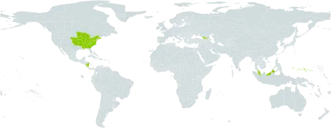 Blephilia world distribution map, present in Åland Islands, Micronesia (Federated States of), Georgia, Malaysia, Nicaragua, and United States of America
