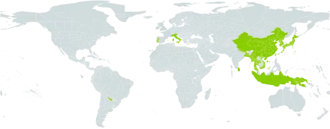 Blyxa japonica world distribution map, present in Argentina, Bangladesh, China, Indonesia, India, Iceland, Italy, Japan, Korea (Republic of), Sri Lanka, Myanmar, Malaysia, Nepal, Papua New Guinea, Korea (Democratic People's Republic of), Portugal, Thailand, Taiwan, Province of China, and Viet Nam