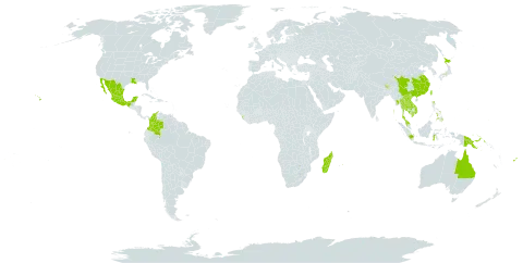 Bonnaya antipoda world distribution map, present in Australia, Bhutan, China, Colombia, Fiji, Micronesia (Federated States of), Guam, Indonesia, India, Japan, Cambodia, Lao People's Democratic Republic, Sri Lanka, Madagascar, Mexico, Myanmar, Mauritius, Malaysia, Nepal, Philippines, Palau, Papua New Guinea, Singapore, Thailand, Taiwan, Province of China, United States of America, and Viet Nam